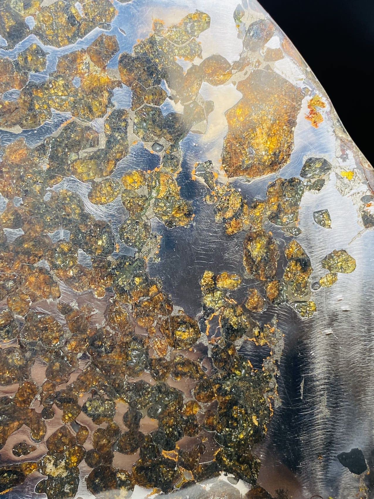 Amazon.co.jp: 【鑑別書付き】 パラサイト隕石 231.5g 男女兼用 隕石